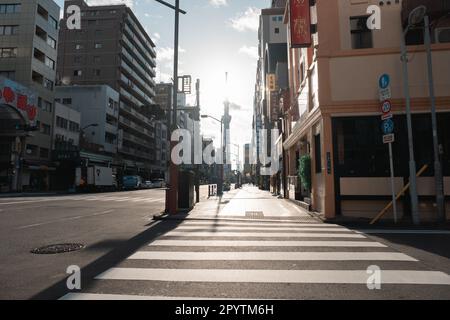 TOKYO, GIAPPONE - 8 APRILE 2023: Città di Tokyo con lo sfondo di Tokyo Skytree contro il cielo nuvoloso Foto Stock