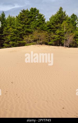 Deserto del Maine, attrazione turistica a Freeport, Maine Foto Stock