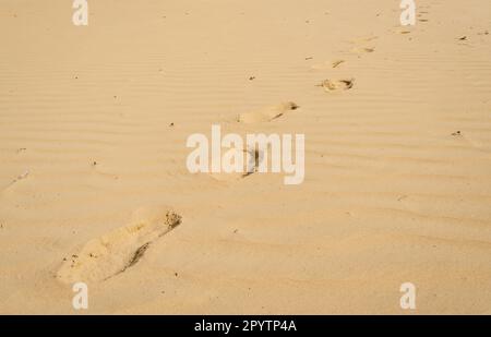 Deserto del Maine, attrazione turistica a Freeport, Maine Foto Stock