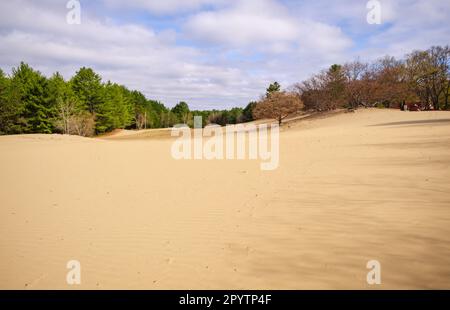 Deserto del Maine, attrazione turistica a Freeport, Maine Foto Stock