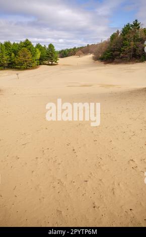 Deserto del Maine, attrazione turistica a Freeport, Maine Foto Stock