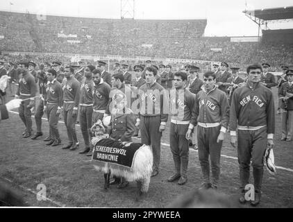Coppa dei campioni europei 1961/62. Finale: Benfica Lisbona - Real Madrid 5:3/02.05.1962:00 ad Amsterdam. 11-uomo squadra Benfica Lisbona prima del gioco . Da sinistra: Costa Pereira, Germano de Figueiredo, Fernando Cruz, Mario Coluna, Eusebio, Domiciano Cavem, Antonio Simoes, Jose Augusto, Angelo Martins, Mario Joao e Jose Aguas. Solo per uso giornalistico! Solo per uso editoriale! In conformità alle disposizioni della DFL Deutsche Fussball Liga, è vietato utilizzare o far utilizzare fotografie scattate nello stadio e/o della partita sotto forma di sequenze di immagini e/o serie di foto simili a quelle di un video. DFL Foto Stock