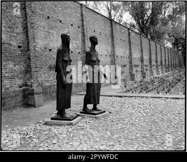 Fürstenberg an der Havel (Brandeburgo), distretto di Ravensbrück, memoriale del campo di concentramento di Ravensbrück (primavera 1939 - 30 aprile 1945, il più grande campo di concentramento per le donne, dal 1959 memoriale). Memorial (Will Lammert: Gruppo femminile). Vista, in bianco e nero. Foto, 1995. Foto Stock