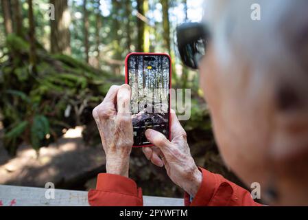 Una donna anziana di 90s anni utilizza un iPhone per scattare una fotografia a Cathedral Grove sull'isola di Vancouver, Canada. Foto Stock