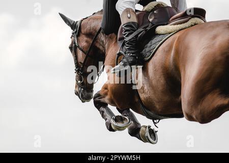 Salto a cavallo, Sport equestri, spettacolo salto evento fotografia a tema Foto Stock