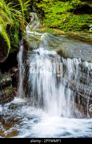Piccola cascata che scorre attraverso le rocce mossy all'interno della foresta pluviale nella città di Carrancas a Minas Gerais, Brasile Foto Stock