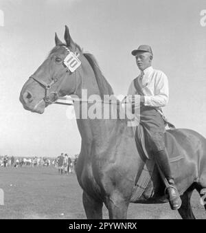 Un cavaliere si siede sul cavallo. Partecipa al ring riding a Warnemünde. Nella corsa ad anello, una lancia è messa attraverso un anello appeso al ponteggio. Foto Stock