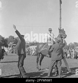 Un cavaliere a cavallo che cavalca un anello a Warnemünde. Nella corsa ad anello, una lancia è messa attraverso un anello appeso ad un ponteggio. Foto Stock