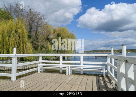 Ponte pedonale presso la Villa Liebermann, Am Grossen Wannsee, Wannsee, Steglitz-Zehlendorf, Berlino, Germania Foto Stock