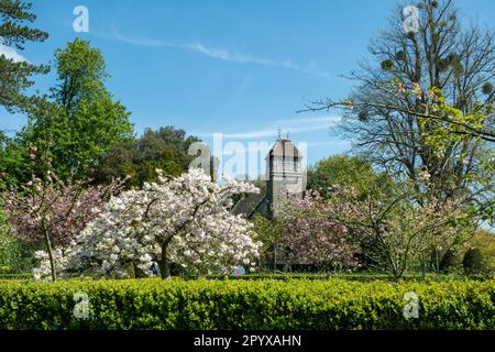 All Saints Church, Hinton Ampner, Hampshire, Inghilterra, Regno Unito, durante la primavera Foto Stock