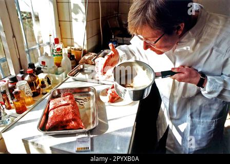 «Data della registrazione: 19.04.1996 ispezione di un grossista di prodotti a base di carne da parte del veterinario dell'ufficio veterinario dell'amministrazione cittadina di Bonn. Qui: ''test padella per friggere'', test degli odori. [traduzione automatica]' Foto Stock