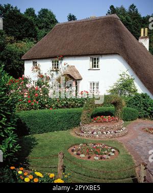 Inghilterra. Devon. Cockington. Cottage con tetto in paglia. Foto Stock