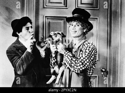 Chico Marx e Harpo Marx in 'The Marx Brothers: A Day at the Races', titolo originale: 'A Day at the Races', diretto da Sam Wood, USA 1937. [traduzione automatica] Foto Stock