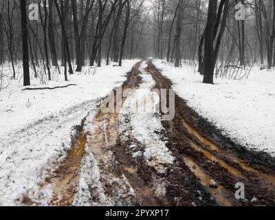 Strada fangosa estremamente sporca nella foresta. Suolo danneggiato da pneumatici auto. Percorsi auto profondi nel fango e nella neve. Foto Stock