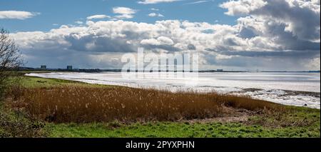 Vista del fiume Severn dai moli di Sharpness, con la centrale nucleare di Berkeley e Oldbury Magnox smantellata e i ponti di attraversamento di Severn, Foto Stock