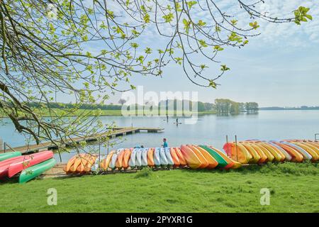 Un gruppo di canoe si è allineato sulla riva di un lago. Foto Stock