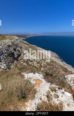 Veduta da Torre Minervino nel Salento in Puglia Foto Stock