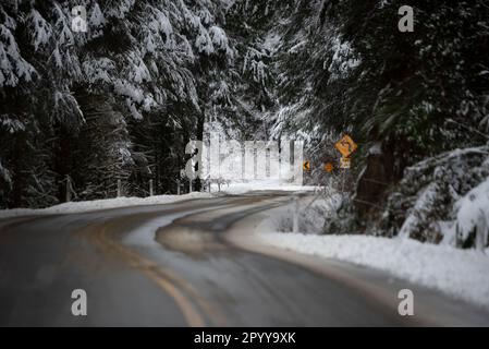 Una strada sulla strada per Port Renfrew sull'Isola di Vancouver, Canada, è innevata in dicembre. Foto Stock