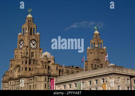 Royal Liver Building e Cunard Building, Liverpool, Merseyside, Inghilterra, Regno Unito. Monumenti storici sul lungomare e parte del patrimonio mondiale dell'UNESCO Foto Stock