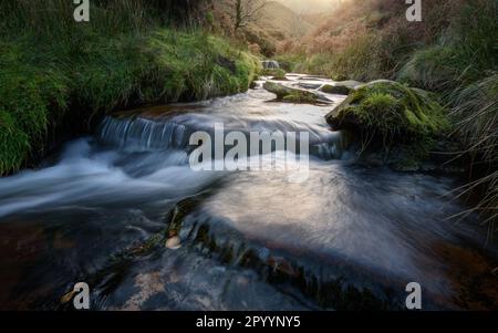 Un flusso che fluisce oltre il gritstone rocce di una piccola cascata visto da sopra, Kinder Scout, Derbyshire, Peak District, England, Regno Unito Foto Stock