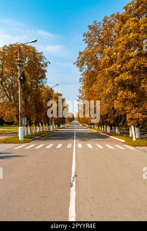 Strada asfaltata vuota che porta a Cernobyl. Foto Stock