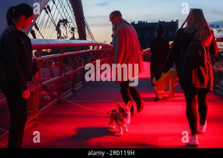 Cracovia, Polonia. 5th maggio, 2023. Un cane Pembroke Welsh Corgi, la razza preferita della regina Elisabetta II, è visto sulla passerella di Padre Bernatek sul fiume Vistola, che è illuminato come un gesto della celebrazione dell'incoronazione del re Carlo III Cracovia, Polonia il 5th maggio 2023. L'incoronazione di sua Maestà il Re e di sua Maestà la Regina Consorte si terrà presso l'Abbazia di Westminster a Londra sabato 6th maggio 2023. (Credit Image: © Beata Zawrzel/ZUMA Press Wire) SOLO PER USO EDITORIALE! Non per USO commerciale! Foto Stock