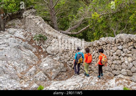 Muro di pietra tradizionale - Pedre en sec - Fita del RAM, Esporles, paesaggio naturale della Serra de Tramuntana, Maiorca, isole baleari, Spagna Foto Stock