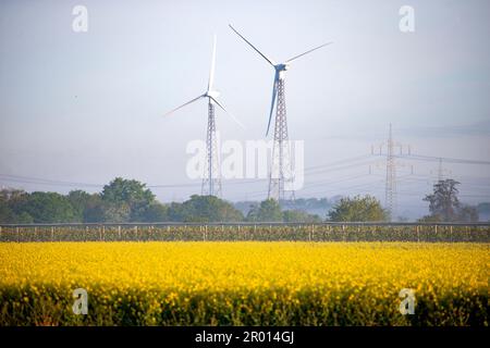 Bornheim, Germania. 06th maggio, 2023. Dietro un fiorente campo di colza e meleti vicino a Bornheim, all'orizzonte si possono vedere turbine eoliche. Credit: Thomas Banneyer/dpa/Alamy Live News Foto Stock