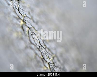 Primo piano la spaccatura sulla superficie di pelle sintetica Foto Stock