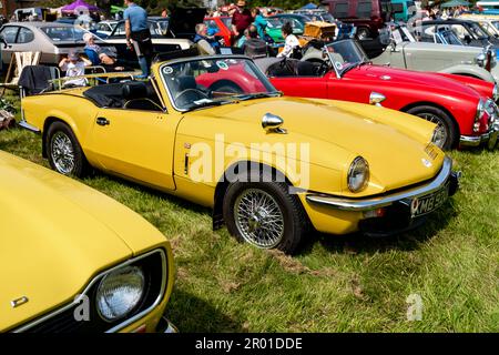 Earsham, Norfolk, Regno Unito – Aprile 30 2023. Una fila di auto classiche completamente restaurate in mostra ad una piccola mostra di auto all'aperto locale Foto Stock