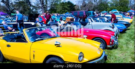 Earsham, Norfolk, Regno Unito – Aprile 30 2023. Una fila di auto classiche completamente restaurate in mostra ad una piccola mostra di auto all'aperto locale Foto Stock