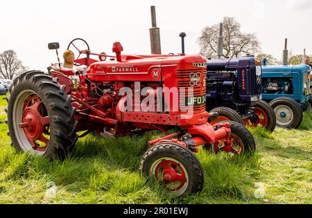 Earsham, Norfolk, Regno Unito – Aprile 30 2023. Classico trattore agricolo McCormick restaurato in mostra a una mostra locale auto Foto Stock