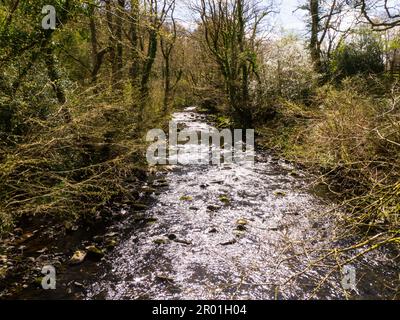 Vista dal ponte sul fiume Caerfanell a Talybont-on-Usk da Talybont Circular e Vaughan Walk Powys Mid Wales UK Foto Stock