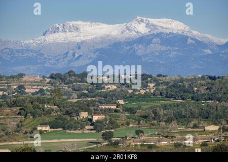 Puig maggiore innevato visto dai campi coltivati di Montuiri, Maiorca, Isole Baleari, Spagna. Foto Stock