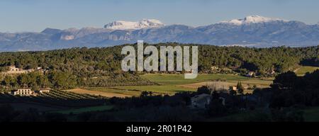 Puig Major innevato e Puig de Massanella innevato visto da Randa, Maiorca, Isole Baleari, Spagna. Foto Stock