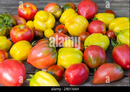 Un set di diverse varietà di pomodori disposti su un tavolo di legno. Foto Stock