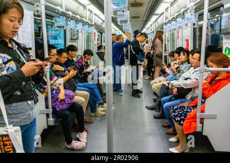 Shanghai, Cina, affollato treno della metropolitana, interno, turisti cinesi, equitazione nei trasporti pubblici, viaggiatori diversi, giovane donna cinese Foto Stock