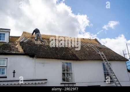 Un thatcher su un tetto di paglia cottage, sostituendo la vecchia paglia con nuova, paglia fresca o canna Foto Stock