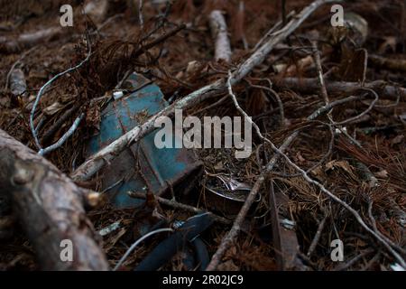 Un mucchio di roba di rifiuto che giace sul terreno nei boschi Foto Stock
