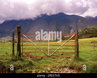 La vecchia e arrugginita porta di metallo rosso e bianco di un allevamento di bestiame, catturato in una giornata di notte al bordo di una strada rurale vicino alla città di la Palma in Th Foto Stock