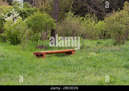 Panca in legno nel parco in primavera Foto Stock