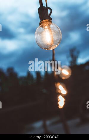 Da sotto di lucenti lampadine di vetro appese su corda sulla strada vicino agli alberi di sera Foto Stock