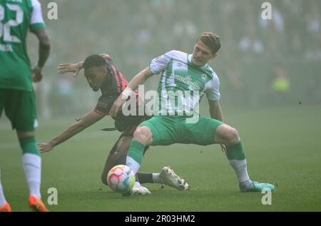 Brema, Germania. 06th maggio, 2023. Calcio: Bundesliga, Werder Bremen - Bayern Monaco, Giornata 31, wohninvest Weserstadion. Werder's Jens Stage (r) combatte Ryan Gravenberch del Bayern per la palla. Credit: Carmen Jaspersen/dpa - NOTA IMPORTANTE: In conformità ai requisiti della DFL Deutsche Fußball Liga e del DFB Deutscher Fußball-Bund, è vietato utilizzare o utilizzare fotografie scattate nello stadio e/o della partita sotto forma di sequenze di immagini e/o serie di foto simili a video./dpa/Alamy Live News Foto Stock