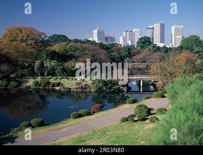 Giappone. Tokyo. Parco ricreativo giardino. Vista di Shinjuku. Foto Stock