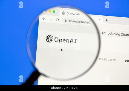 Ostersund, Svezia - 29 gennaio 2023: Sito web openai api sullo schermo di un computer. OpenAI è un laboratorio americano di ricerca di intelligenza artificiale. Foto Stock