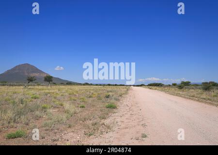 Strada di ghiaia vuota nella natura selvaggia della Namibia Foto Stock