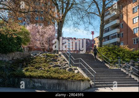 Scale per un piccolo parco a Norrkoping in una soleggiata giornata di primavera all'inizio di maggio. Norrkoping è una città storica della Svezia. Foto Stock