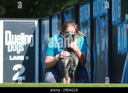 6 maggio 2023, Goldston, North Carolina, USA: MARTHA PAYNE ottiene American Cattle Dog ROO di concentrarsi sul paraurti durante la competizione verticale estrema durante il 6th Annual Bark a Noah's Ark Benefit presso Indian Creek K9 Aquatics a Goldston, NC. L'evento è stato un qualificatore nazionale in Dock jumping come cani competere nel salto per la distanza o l'altezza da un molo in un corpo d'acqua. Si tratta del più grande evento di immersioni in molo al mondo, con oltre 1400 partecipanti e più di 400 cani in competizione da tutto il mondo. (Credit Image: © Bob Karp/ZUMA Press Wire) SOLO PER USO EDITORIALE! Non per uso commerciale Foto Stock