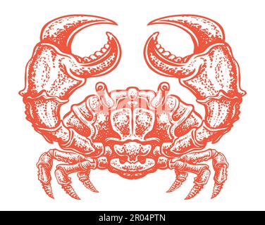 Granchio rosso isolato su sfondo bianco. Frutti di mare, illustrazione vettore di animali marini Illustrazione Vettoriale