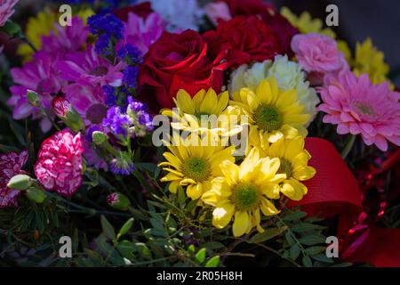 Ostrowo, Polonia. 01st maggio, 2023. Fiori e bouquet sono in vendita in un negozio di fiori. La Festa della mamma di quest'anno cade il 14 maggio. Credit: Fernando Gutierrez-Juarez/dpa/Alamy Live News Foto Stock